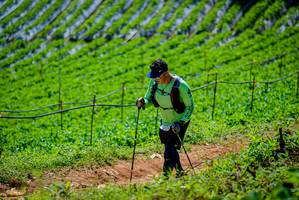 BIB: 
                            <button type="button" onclick="openModal(19164554)" class="btn btn-primary btn-sm float-right btn-popup" data-toggle="modal" data-target=".modal-high-quality">
                        <i class="fas fa-shopping-cart"></i> Add to Cart
                    </button>
                                            <button type="button" onclick="isThisMe(19164554, true)" class="btn btn-success btn-sm float-right btn-popup btn-isme hidden" data-toggle="tooltip" data-placement="bottom" title="นี่คือรูปของคุณใช่ไหม คลิกที่นี่เพื่อเอาเข้าอัลบั้ม">
                        <i class="fas fa-plus"></i> Add to album
                    </button>
                    <button type="button" onclick="isThisMe(19164554, false)" class="btn btn-warning btn-sm float-right btn-popup btn-isnotme hidden">
                        <i class="fas fa-ban"></i> Remove from album
                    </button>